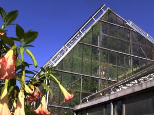 Botanischer Garten Innsbruck