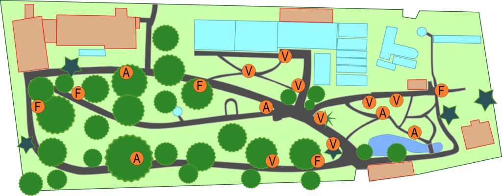 Plan des Botanischen Gartens der Universität Innsbruck